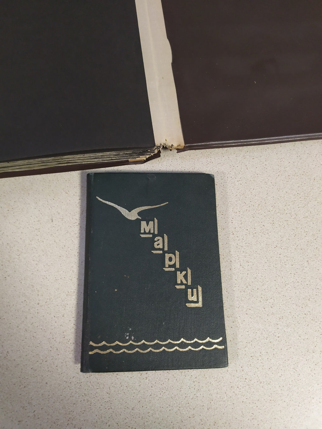Two vintage Soviet stamp albums with USSR stamps, photo 18