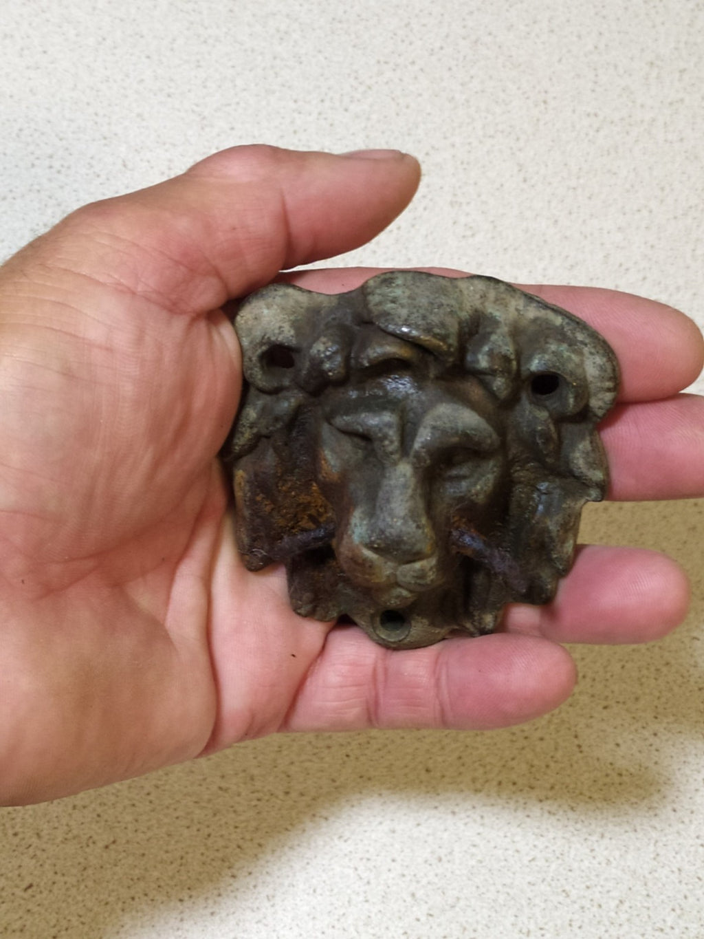 Cast bronze lion head plaque with iron mounting pin remnants in the mouth