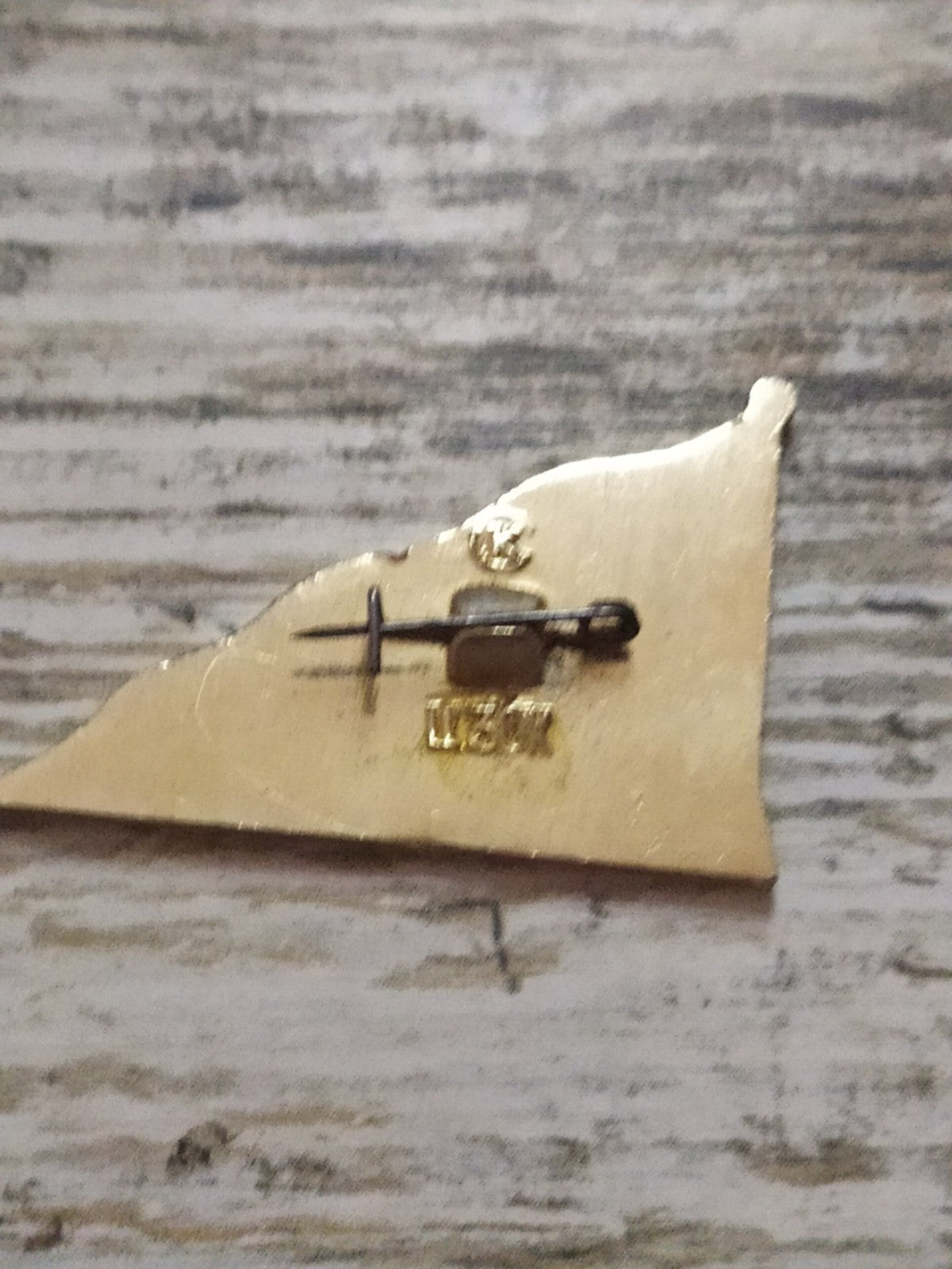 Old Soviet Aurora pin with fastening on reverse