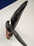 Wooden eagle figurine dark brown wings and light amber base – detail 8