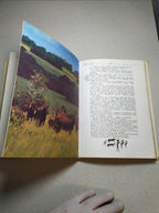 Color wildlife photographs inside the African safari book – detail 11