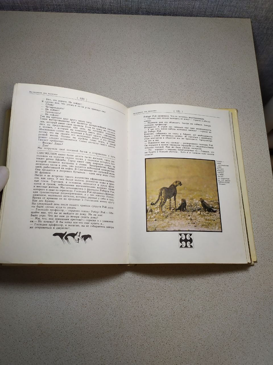 Bestiary-style rhinoceros illustration in the illustrated wildlife book – detail 12