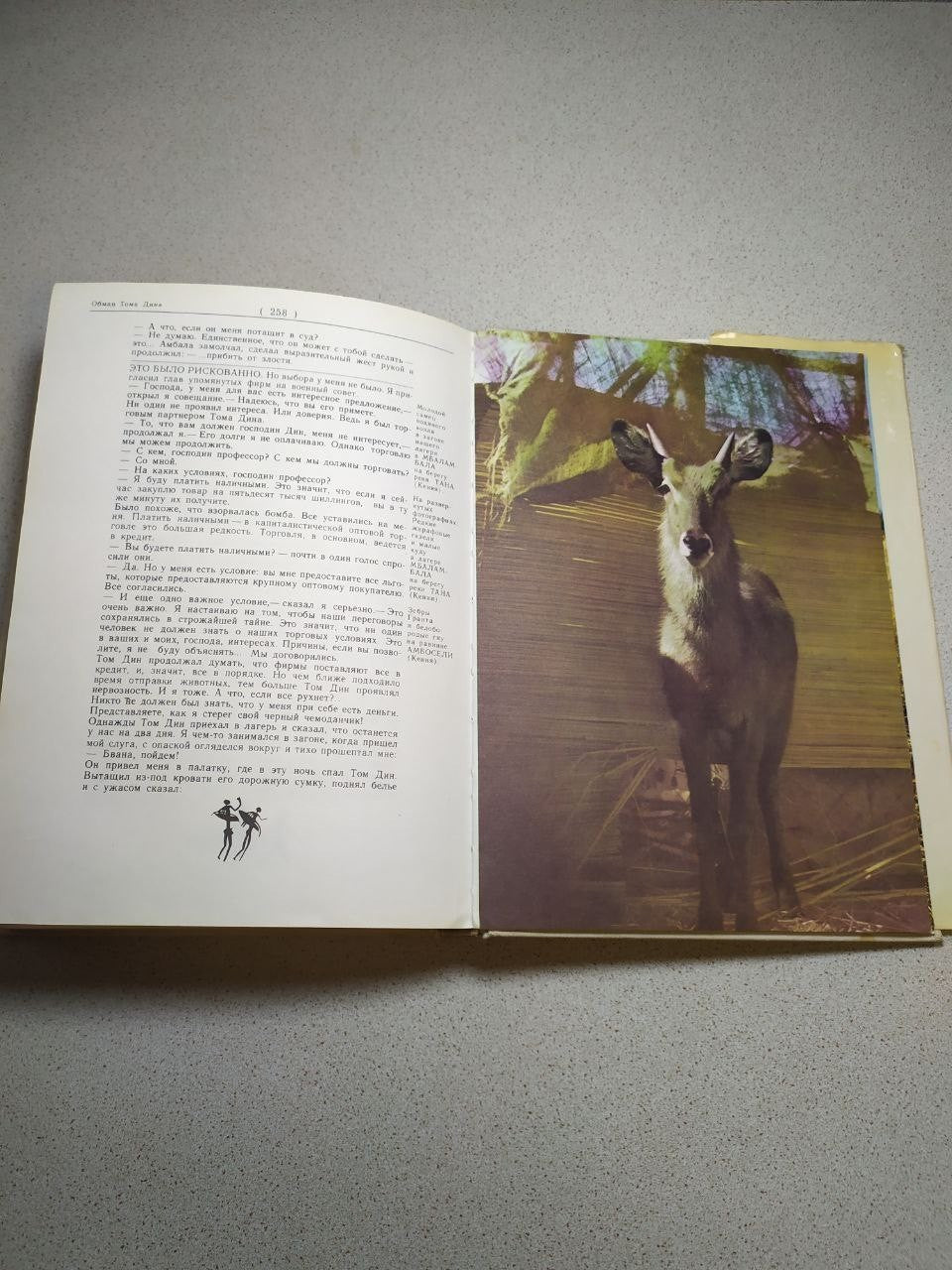 Decorated endpapers with African motifs in the Soviet-era book – detail 16
