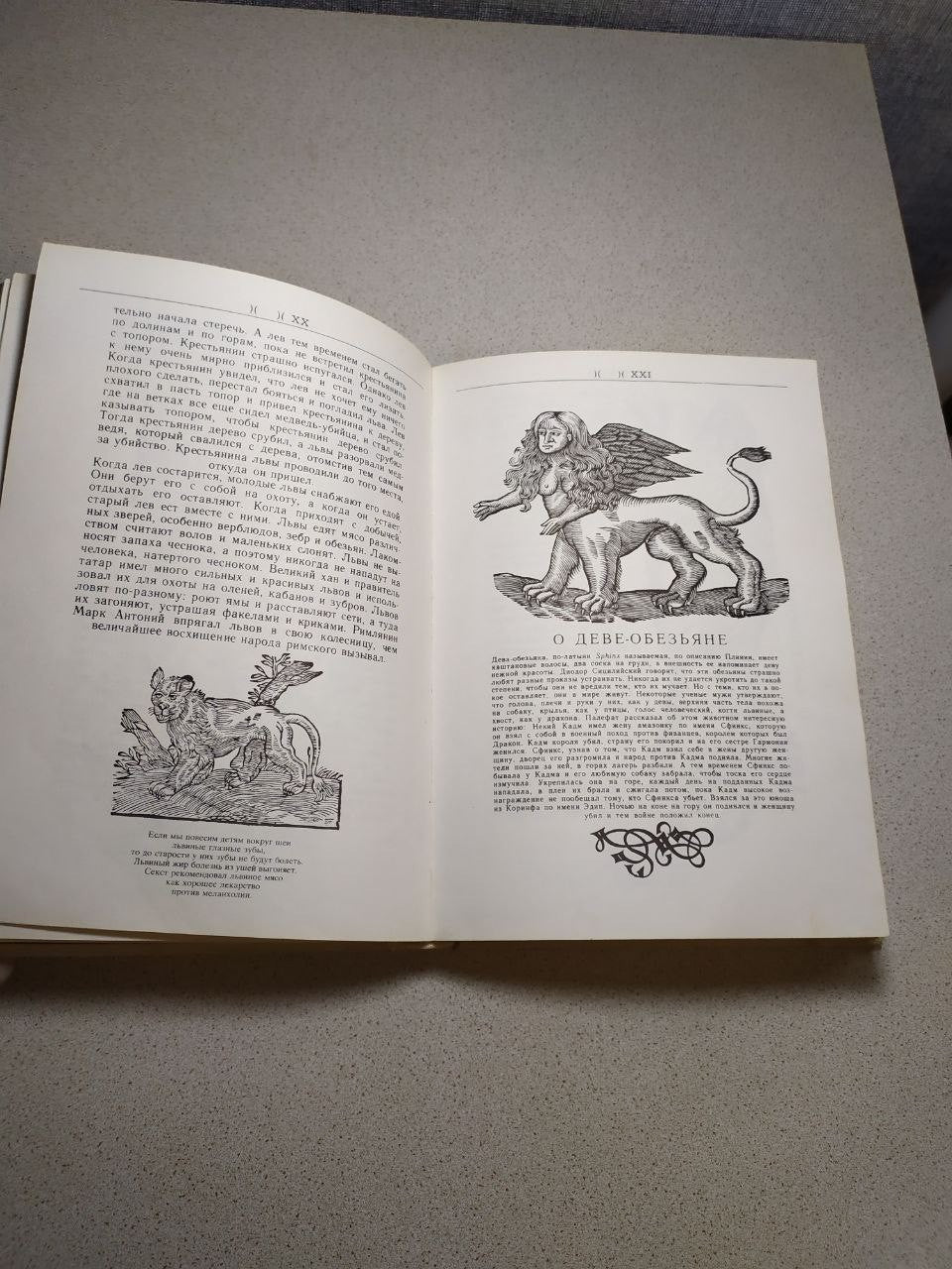 Decorated endpapers with African motifs in the Soviet-era book