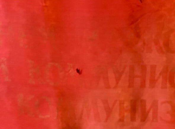 Lenin portrait and slogan on the reverse of a Soviet red banner – detail 6