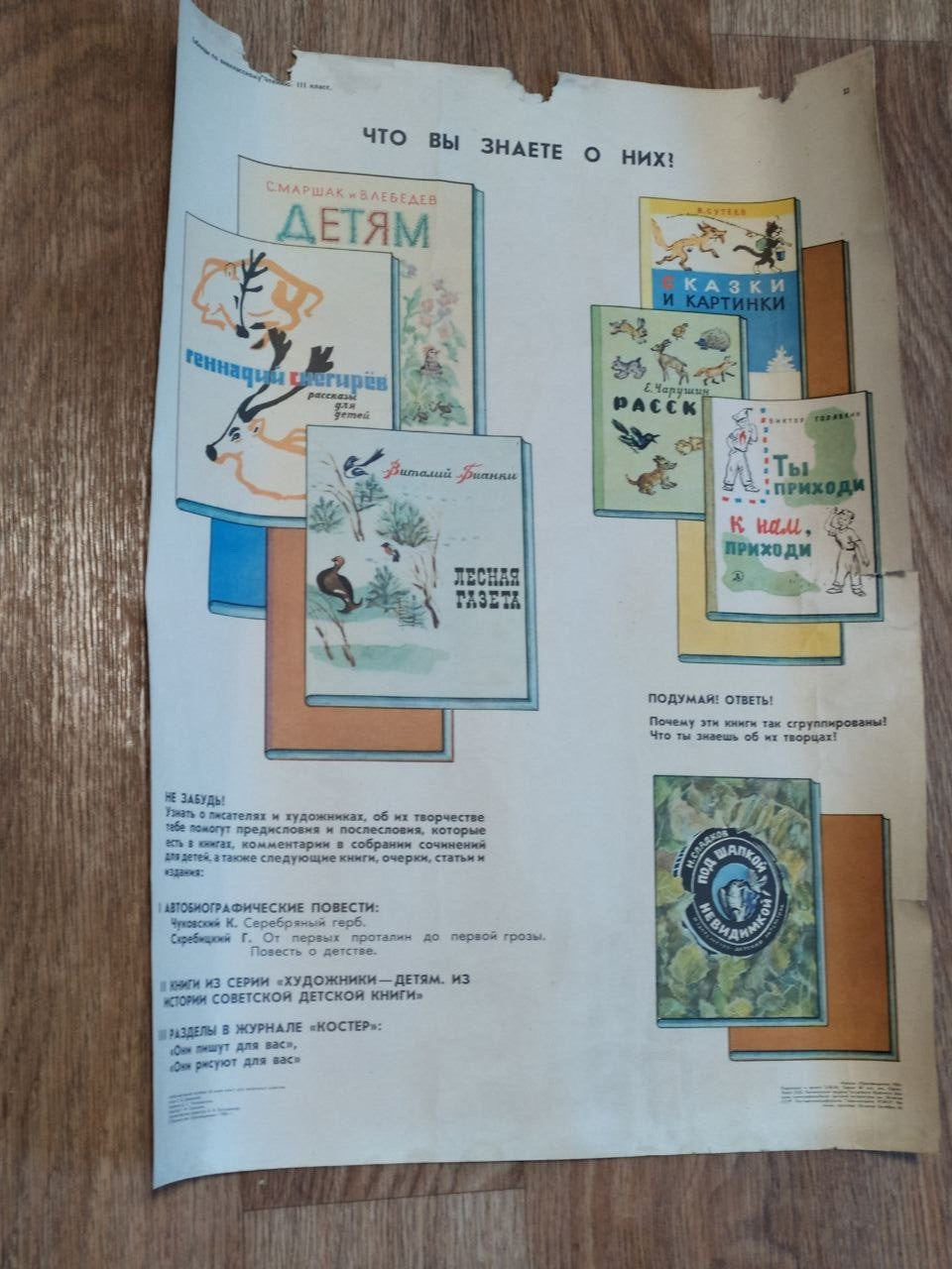Torn top and right edges of the vintage Soviet educational poster – detail 7