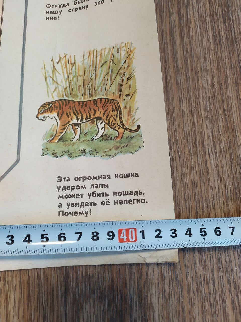 Vintage Soviet poster illustration of Ivan Fedorov, a telescope and Suvorov – detail 5