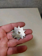 Screw-back fastening and original nut of the Soviet jubilee order