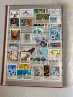Eastern Bloc stamps arranged behind protective strips on album pages – detail 10