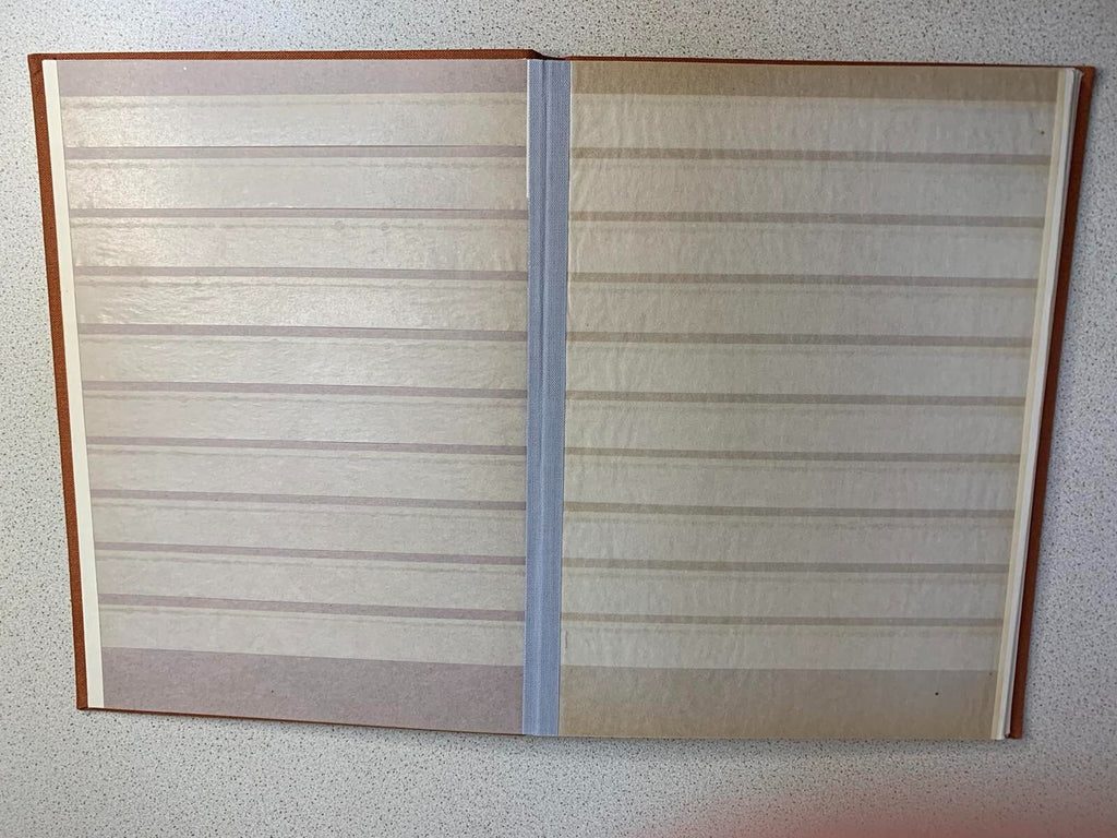 Eastern Bloc stamps arranged behind protective strips on album pages – detail 16