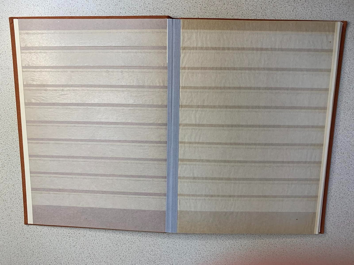 Eastern Bloc stamps arranged behind protective strips on album pages – detail 16