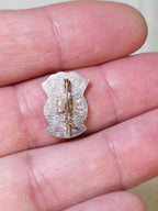 Old Soviet veteran pin reverse and fastening