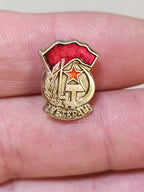 Soviet Veteran of Labor badge with red star, hammer and sickle in enamel