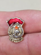 Vintage Soviet Veteran of Labor pin, close-up of the enamel