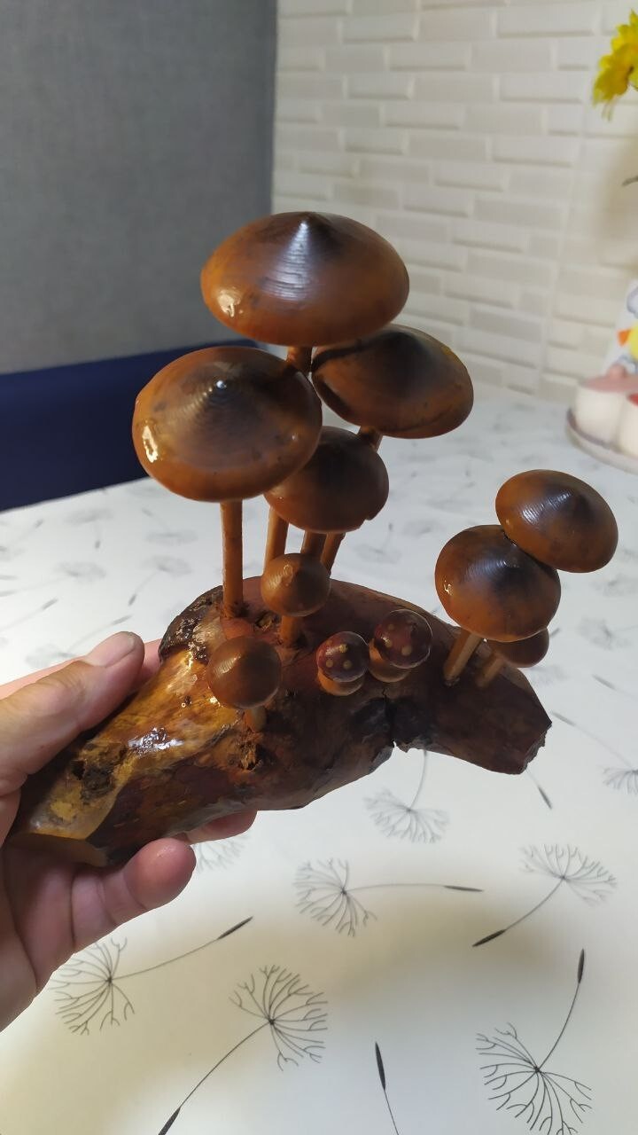 Varnished carved wooden mushrooms growing from a driftwood root base – detail 11