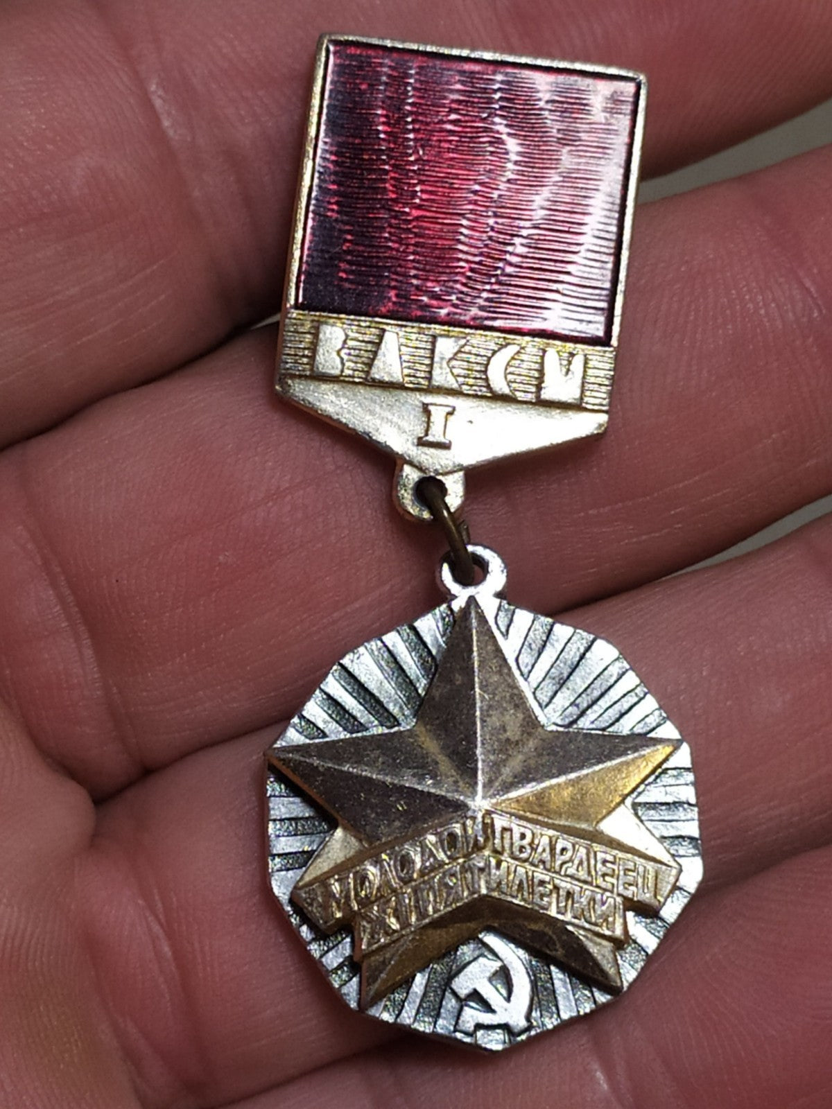 Soviet Young Guard of the Five-Year Plan badge front view
