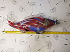 Murano style glass fish close-up of red, blue, yellow and green swirls – detail 10