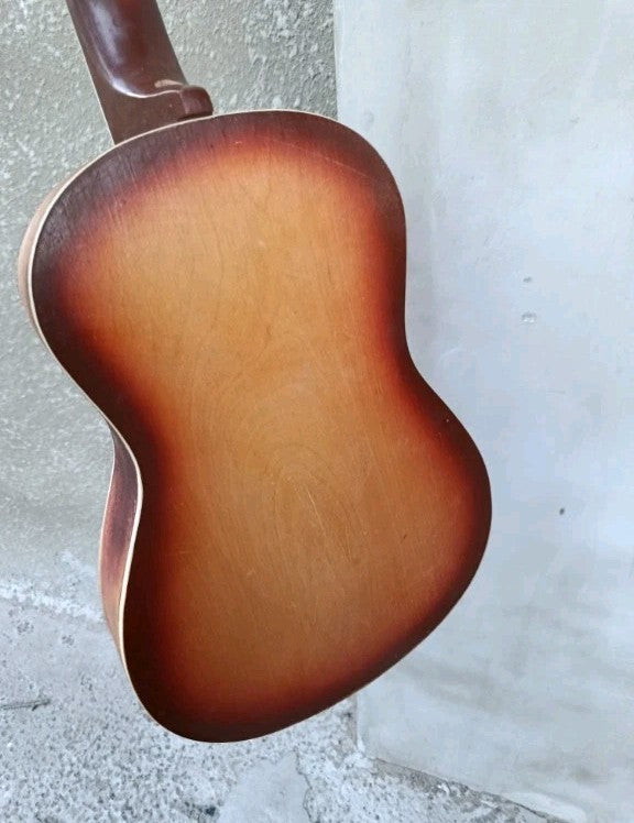 Lviv Trembita guitar with black soft carrying case