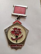 Vintage USSR badge, collectible pin badge from the Soviet Union