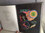 Gagarin memorabilia book with Palekh miniature illustration of the flight – detail 11